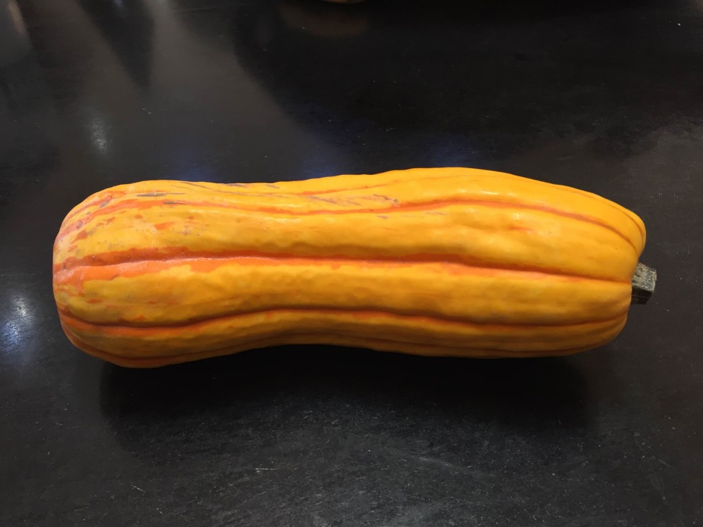 Delicata