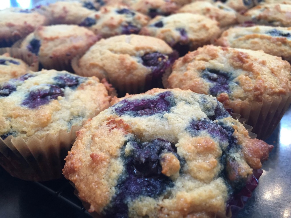 Blueberry Muffins