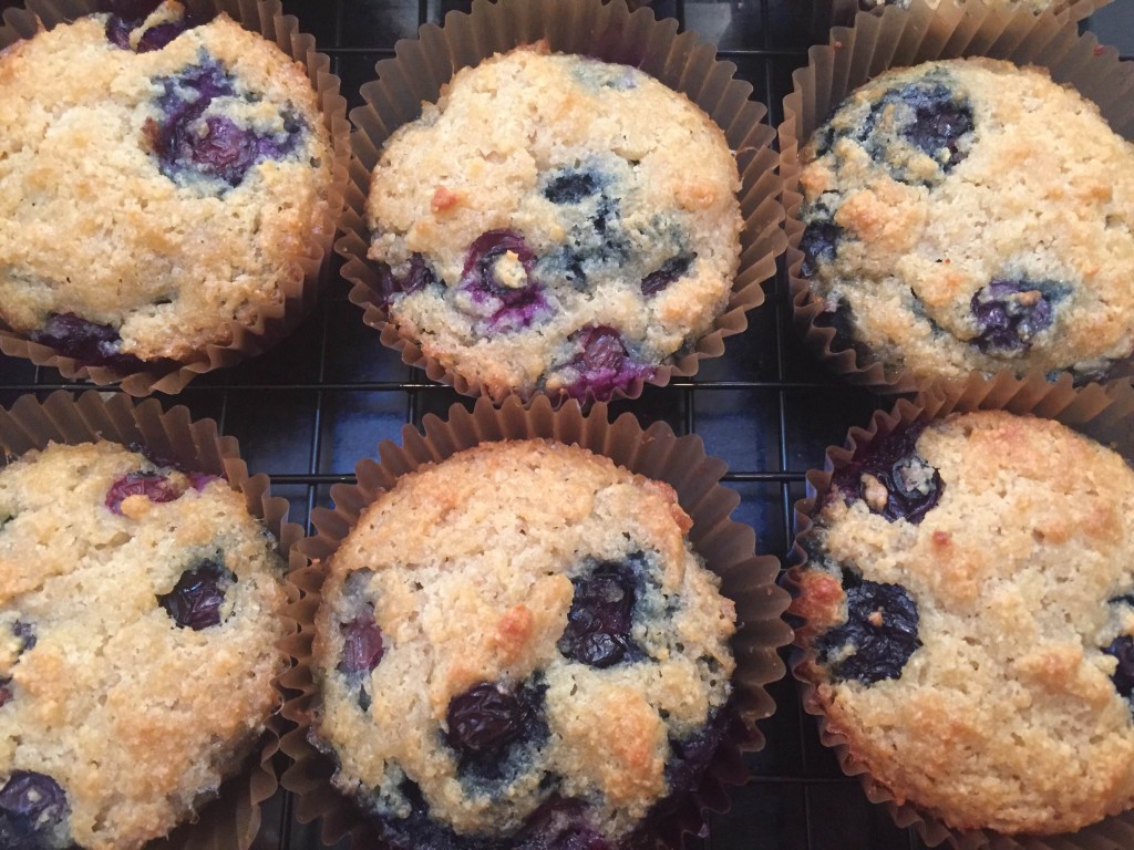 Blueberry Muffins