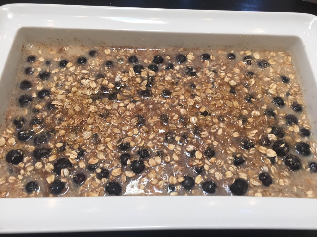 Blueberry Oatmeal 1